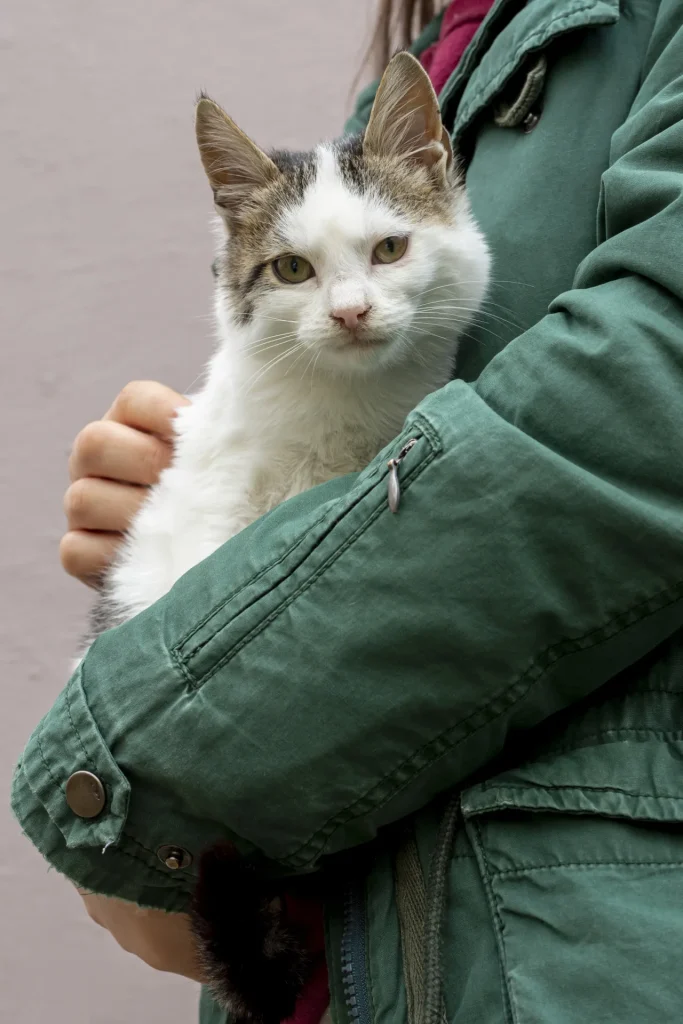 Billing Amp Payment Info - Closeupcatsittingownerarms - Grand Ave Pet Hospital